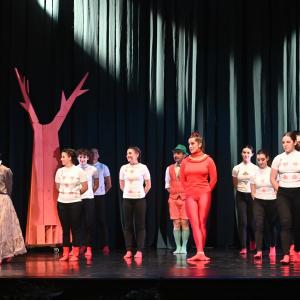 Fotografía de El viaje de Alicia - Cía Danza Fernando Hurtado