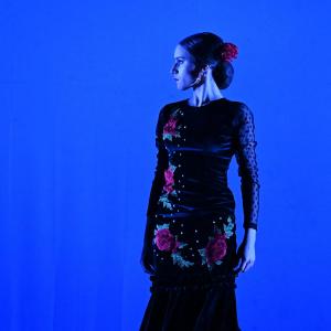 Fotografía de Concurso de Coreografías. Nivel I - Conservatorio de Danza