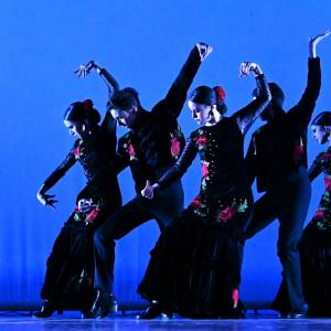 Fotografía de Concurso de Coreografías. Nivel I - Conservatorio de Danza