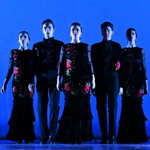 Fotografía de Concurso de Coreografías. Nivel I - Conservatorio de Danza
