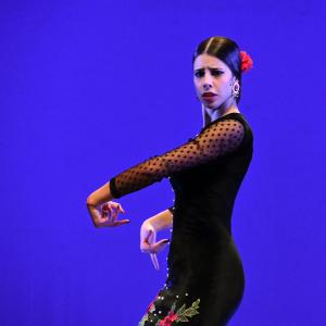 Fotografía de Concurso de Coreografías. Nivel I - Conservatorio de Danza