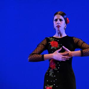 Fotografía de Concurso de Coreografías. Nivel I - Conservatorio de Danza