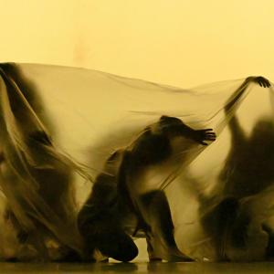 Fotografía de Concurso de Coreografías. Nivel II - Conservatorio de Danza