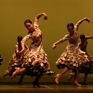 Fotografía de Concurso de Coreografías. Nivel II - Conservatorio de Danza