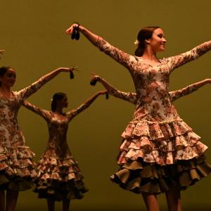 Fotografía de Concurso de Coreografías. Nivel II - Conservatorio de Danza