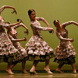 Fotografía de Concurso de Coreografías. Nivel II - Conservatorio de Danza
