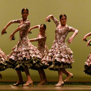 Fotografía de Concurso de Coreografías. Nivel II - Conservatorio de Danza
