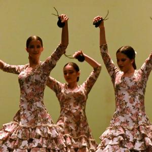 Fotografía de Concurso de Coreografías. Nivel II - Conservatorio de Danza