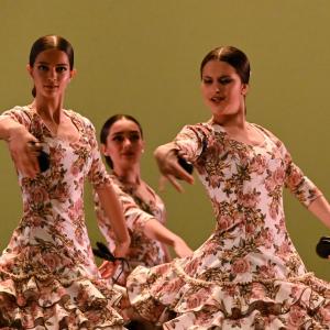 Fotografía de Concurso de Coreografías. Nivel II - Conservatorio de Danza