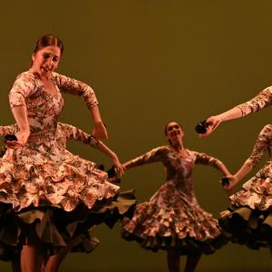 Fotografía de Concurso de Coreografías. Nivel II - Conservatorio de Danza