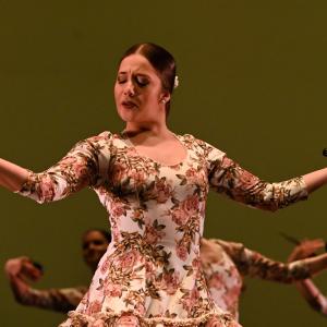 Fotografía de Concurso de Coreografías. Nivel II - Conservatorio de Danza