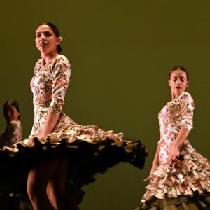 Fotografía de Concurso de Coreografías. Nivel II - Conservatorio de Danza