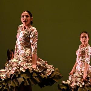 Fotografía de Concurso de Coreografías. Nivel II - Conservatorio de Danza