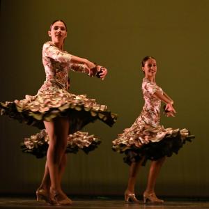 Fotografía de Concurso de Coreografías. Nivel II - Conservatorio de Danza