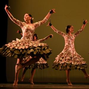Fotografía de Concurso de Coreografías. Nivel II - Conservatorio de Danza