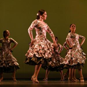 Fotografía de Concurso de Coreografías. Nivel II - Conservatorio de Danza