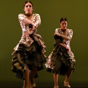 Fotografía de Concurso de Coreografías. Nivel II - Conservatorio de Danza