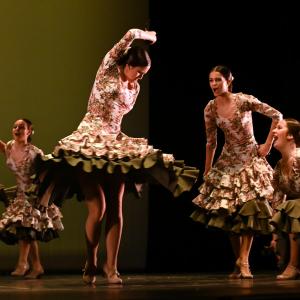 Fotografía de Concurso de Coreografías. Nivel II - Conservatorio de Danza