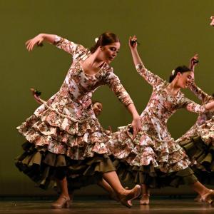 Fotografía de Concurso de Coreografías. Nivel II - Conservatorio de Danza