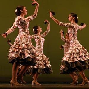 Fotografía de Concurso de Coreografías. Nivel II - Conservatorio de Danza