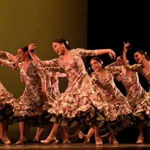 Fotografía de Concurso de Coreografías. Nivel II - Conservatorio de Danza