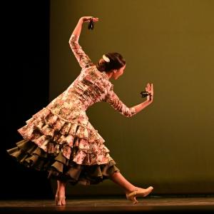 Fotografía de Concurso de Coreografías. Nivel II - Conservatorio de Danza