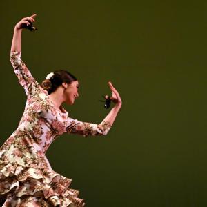 Fotografía de Concurso de Coreografías. Nivel II - Conservatorio de Danza