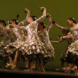 Fotografía de Concurso de Coreografías. Nivel II - Conservatorio de Danza