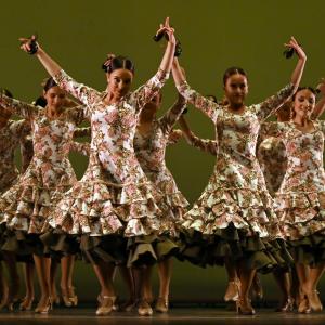 Fotografía de Concurso de Coreografías. Nivel II - Conservatorio de Danza