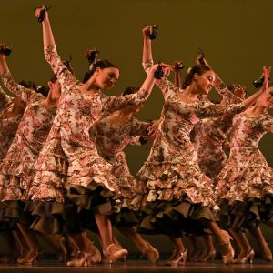 Fotografía de Concurso de Coreografías. Nivel II - Conservatorio de Danza
