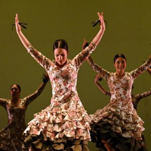 Fotografía de Concurso de Coreografías. Nivel II - Conservatorio de Danza