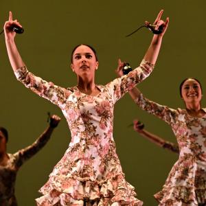 Fotografía de Concurso de Coreografías. Nivel II - Conservatorio de Danza
