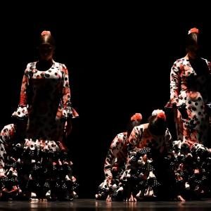 Fotografía de Concurso de Coreografías. Nivel II - Conservatorio de Danza