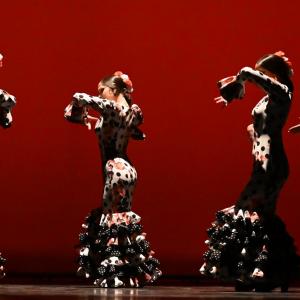 Fotografía de Concurso de Coreografías. Nivel II - Conservatorio de Danza