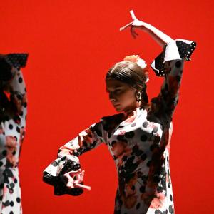 Fotografía de Concurso de Coreografías. Nivel II - Conservatorio de Danza