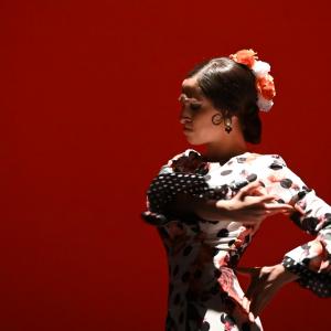 Fotografía de Concurso de Coreografías. Nivel II - Conservatorio de Danza