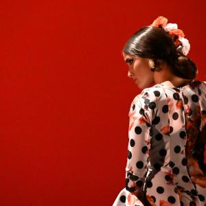 Fotografía de Concurso de Coreografías. Nivel II - Conservatorio de Danza