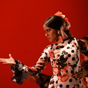 Fotografía de Concurso de Coreografías. Nivel II - Conservatorio de Danza