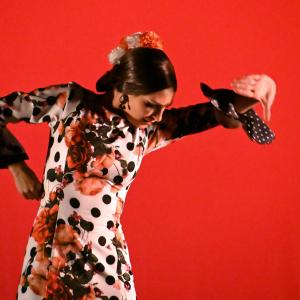 Fotografía de Concurso de Coreografías. Nivel II - Conservatorio de Danza