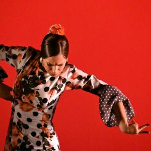 Fotografía de Concurso de Coreografías. Nivel II - Conservatorio de Danza