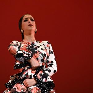 Fotografía de Concurso de Coreografías. Nivel II - Conservatorio de Danza