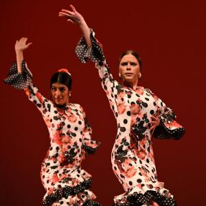Fotografía de Concurso de Coreografías. Nivel II - Conservatorio de Danza