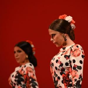 Fotografía de Concurso de Coreografías. Nivel II - Conservatorio de Danza