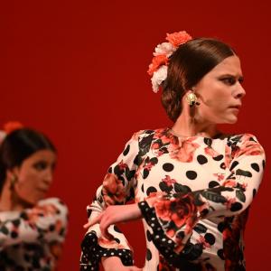 Fotografía de Concurso de Coreografías. Nivel II - Conservatorio de Danza