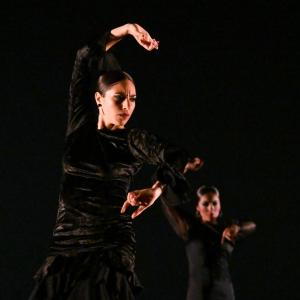 Fotografía de Concurso de Coreografías. Nivel II - Conservatorio de Danza