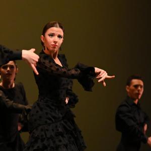 Fotografía de Concurso de Coreografías. Nivel II - Conservatorio de Danza