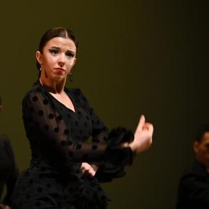 Fotografía de Concurso de Coreografías. Nivel II - Conservatorio de Danza