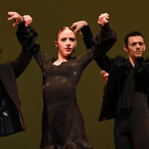Fotografía de Concurso de Coreografías. Nivel II - Conservatorio de Danza