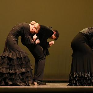 Fotografía de Concurso de Coreografías. Nivel II - Conservatorio de Danza
