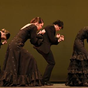 Fotografía de Concurso de Coreografías. Nivel II - Conservatorio de Danza